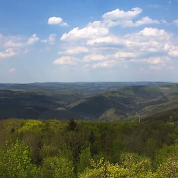 Katzenbuckel, Germany