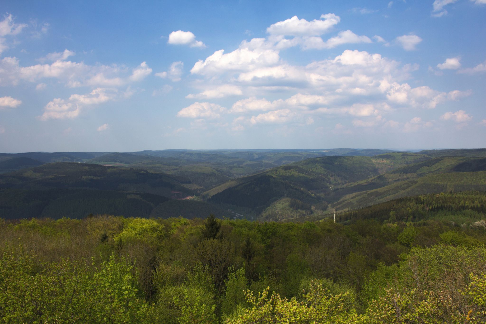 Katzenbuckel, Germany