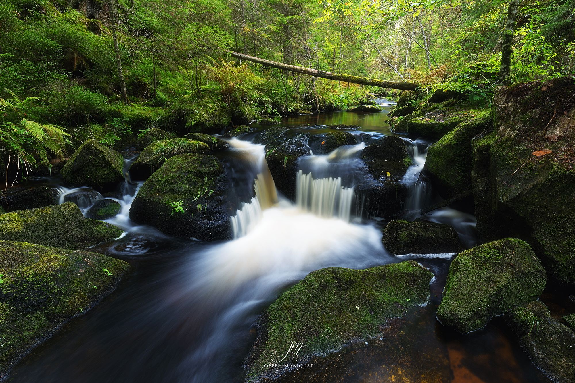 Krai Woog Gumpen, Black Forest, Germany