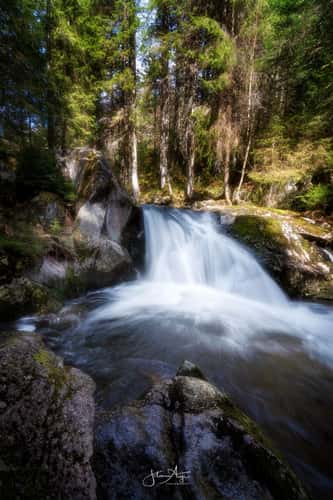 Krai Woog Gumpen, Black Forest