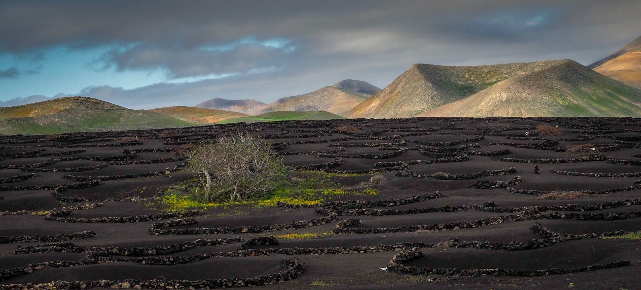 La Geria, Lanzarote, Spain