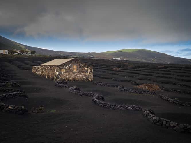 La Geria, Lanzarote