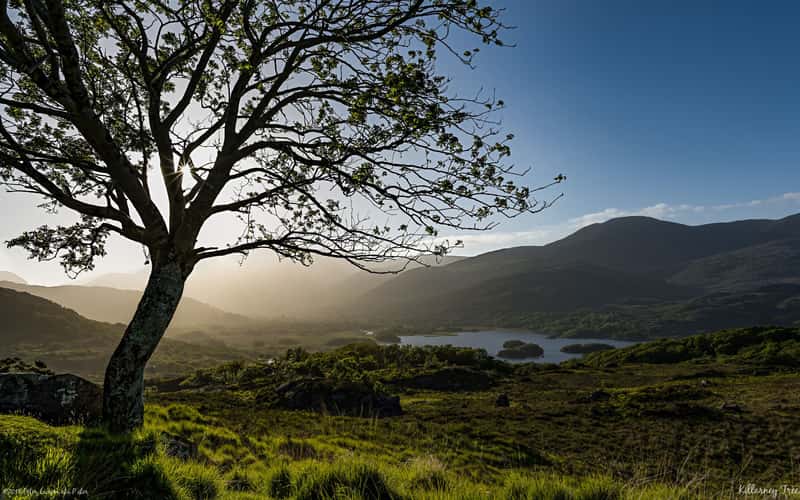 'Ladies View' near Killarney