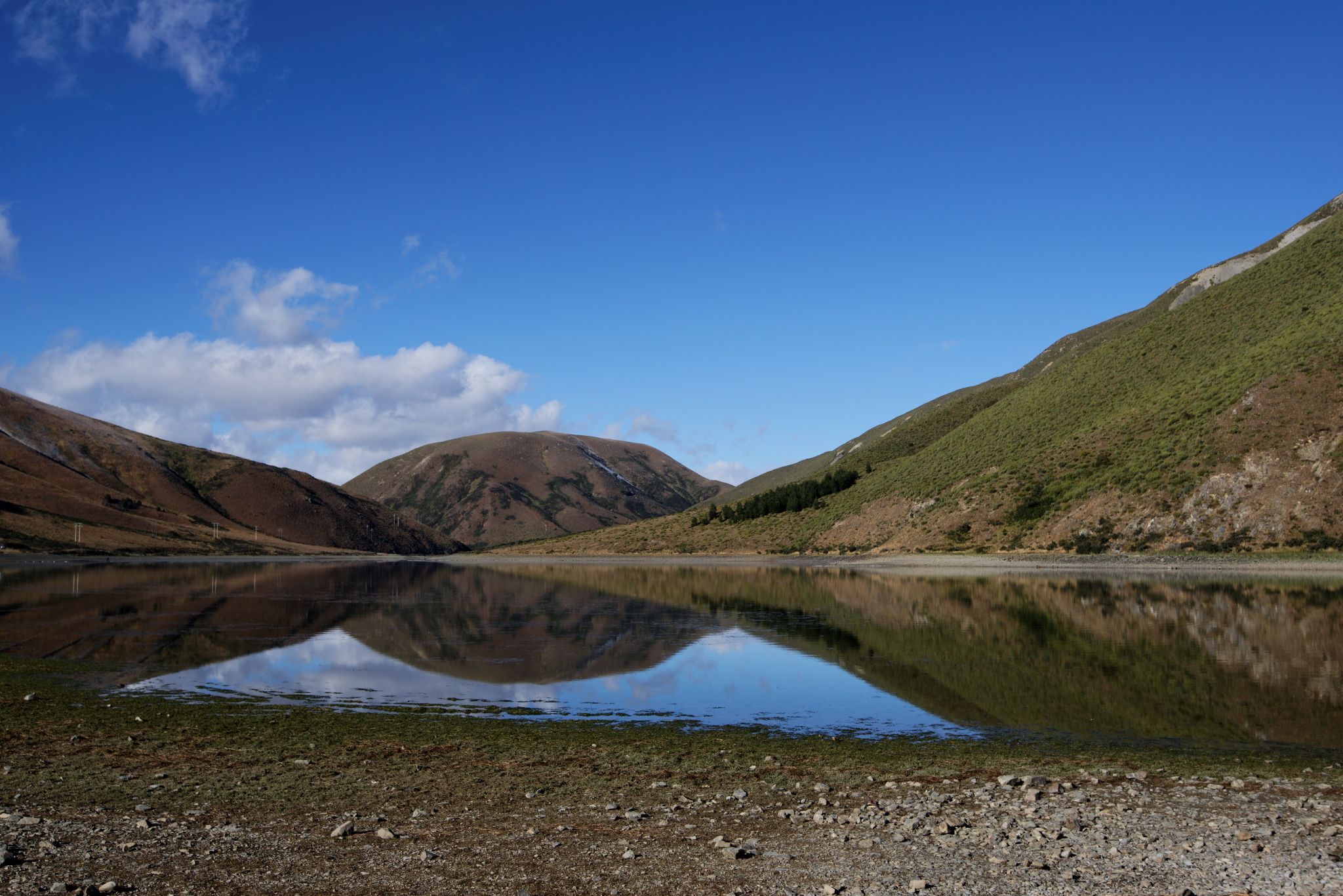 Lake Lyndon, Canterbury, New Zealand