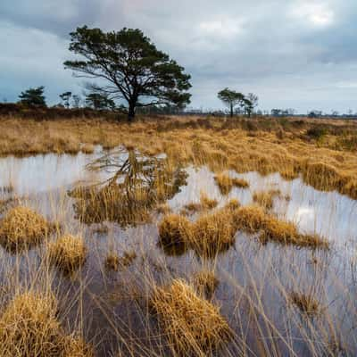 Langven, Belgium