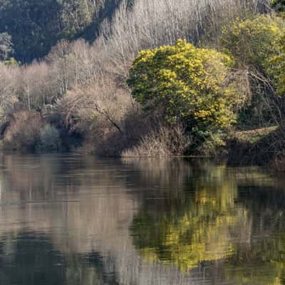 Louredo, Penacova, Portugal