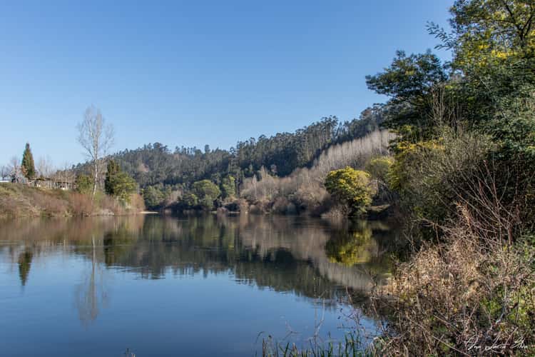 Louredo, Penacova