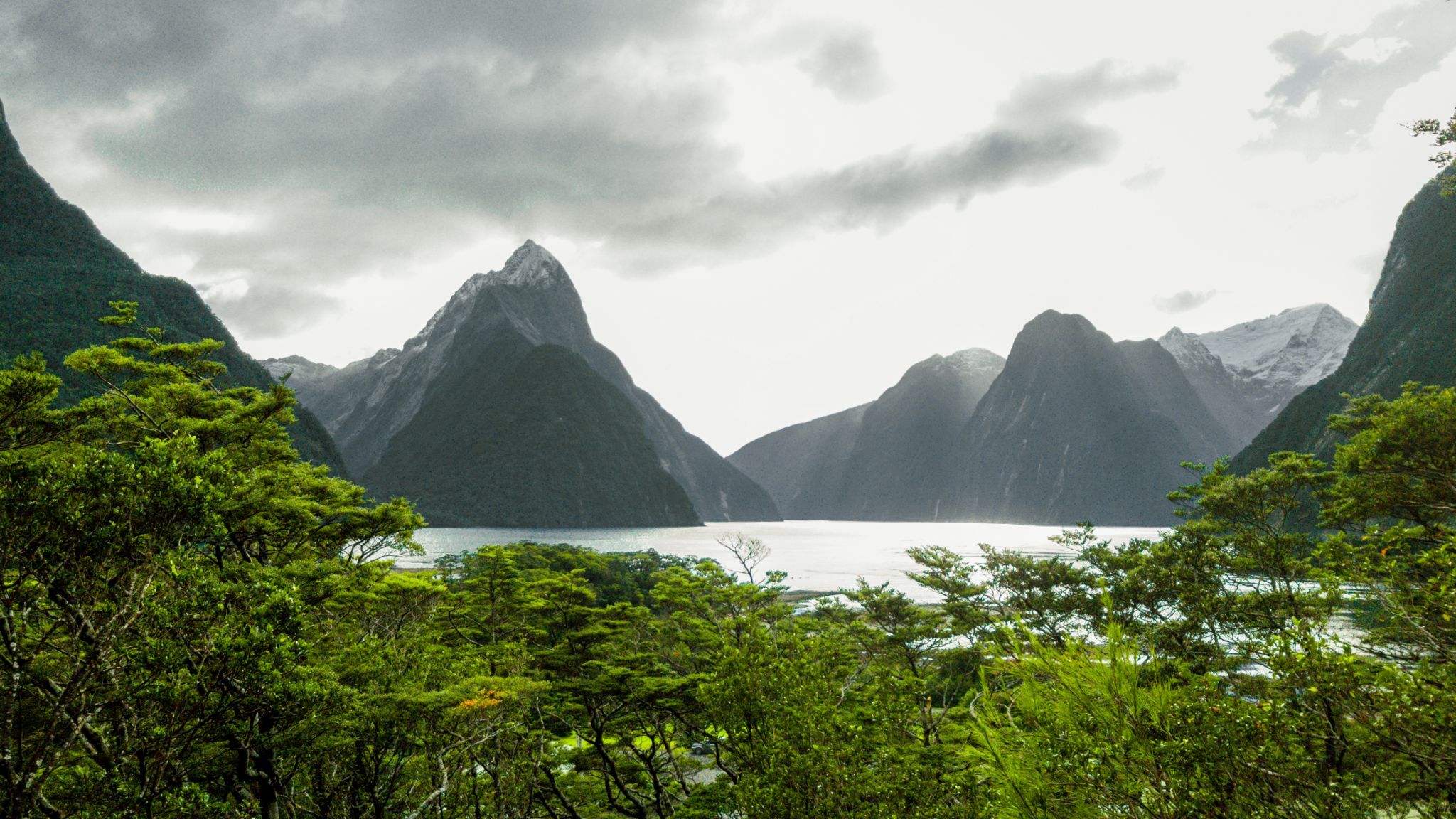 Milford Sound Lookoutpoint, New Zealand