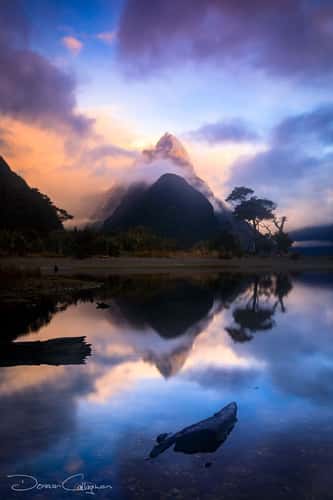 Milford Sound Sunrise