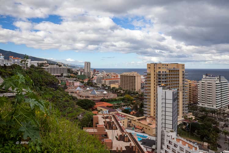 Mirador La Paz, Puerto de la Cruz
