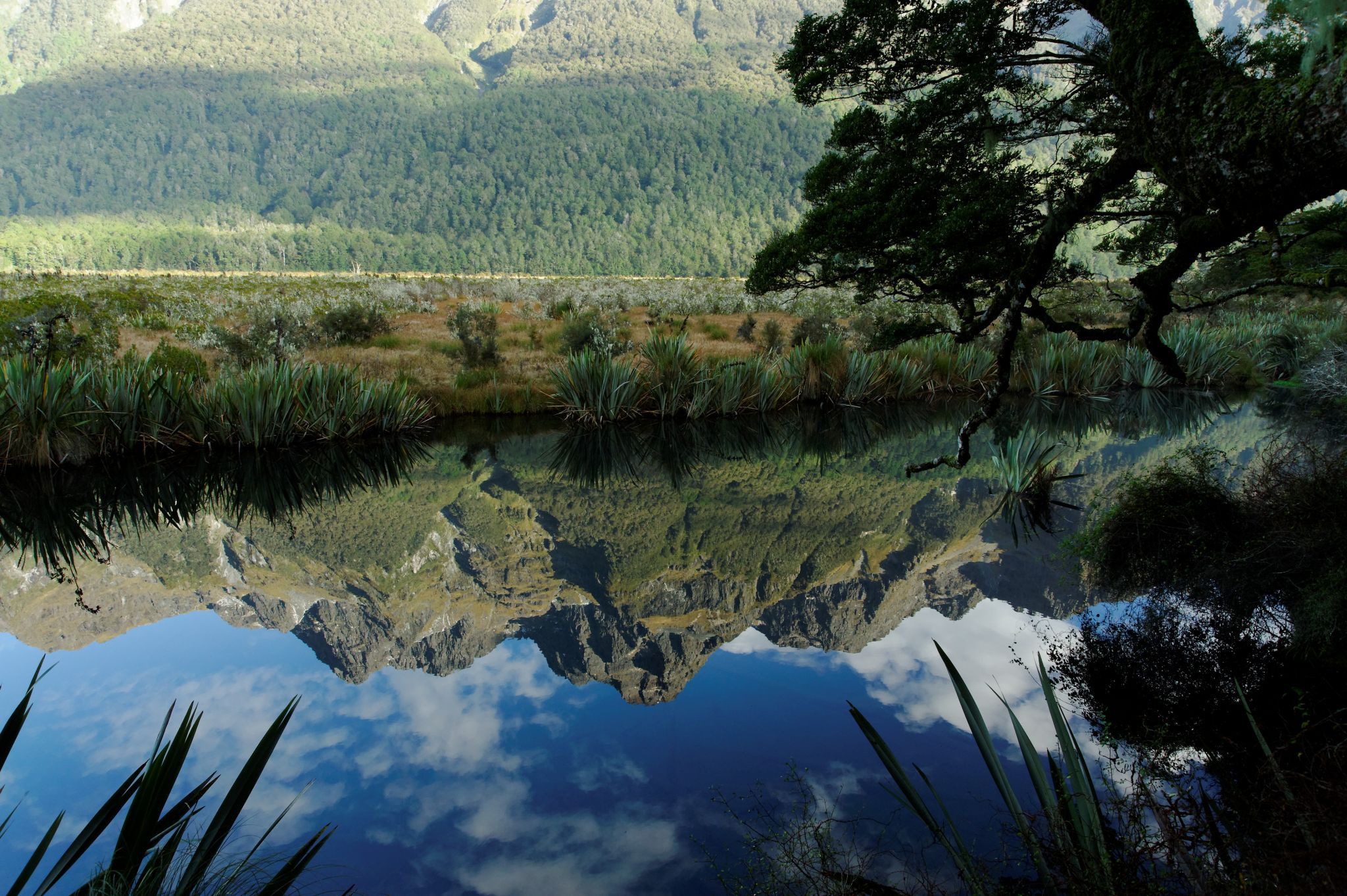 Mirror Lake walk on the road to Milford Sound, New Zealand