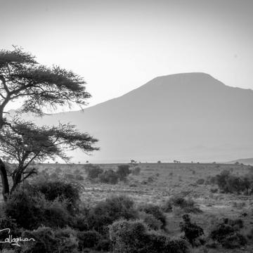 Mt Kilimanjaro Black & white from Kenya, Kenya