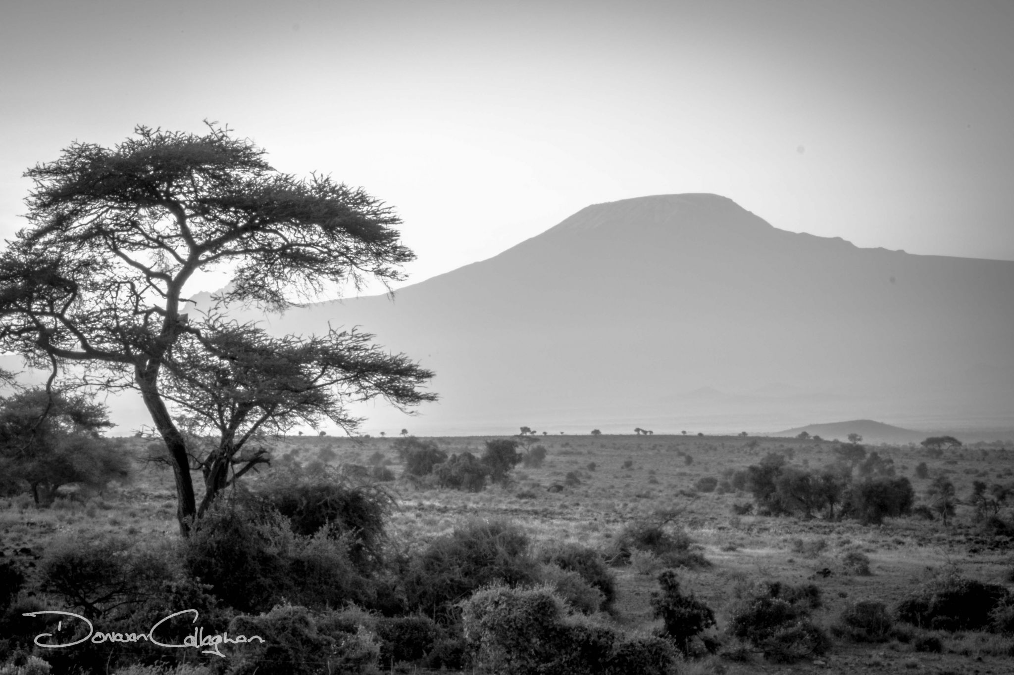 Mt Kilimanjaro Black & white from Kenya, Kenya