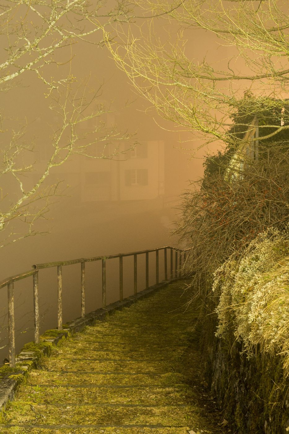 Herbststimmung in Niederrickenbach, Switzerland