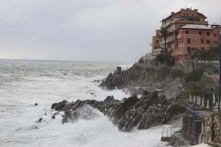 Nervi
