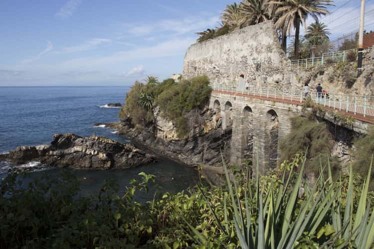 Nervi
