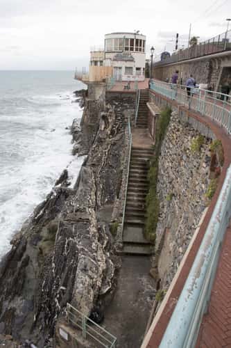 Nervi