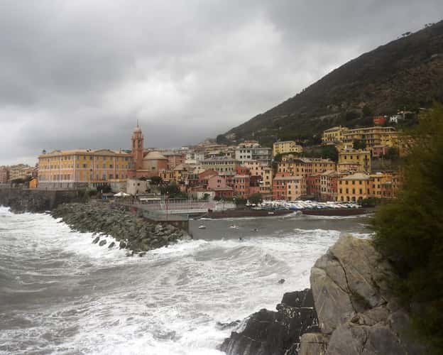 Nervi