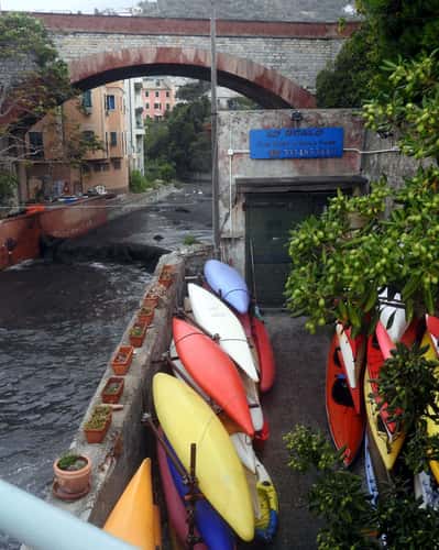 Nervi