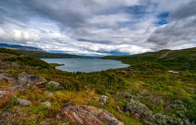 Hardangervidda Nationalpark