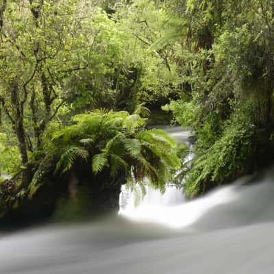 Okere Falls, New Zealand