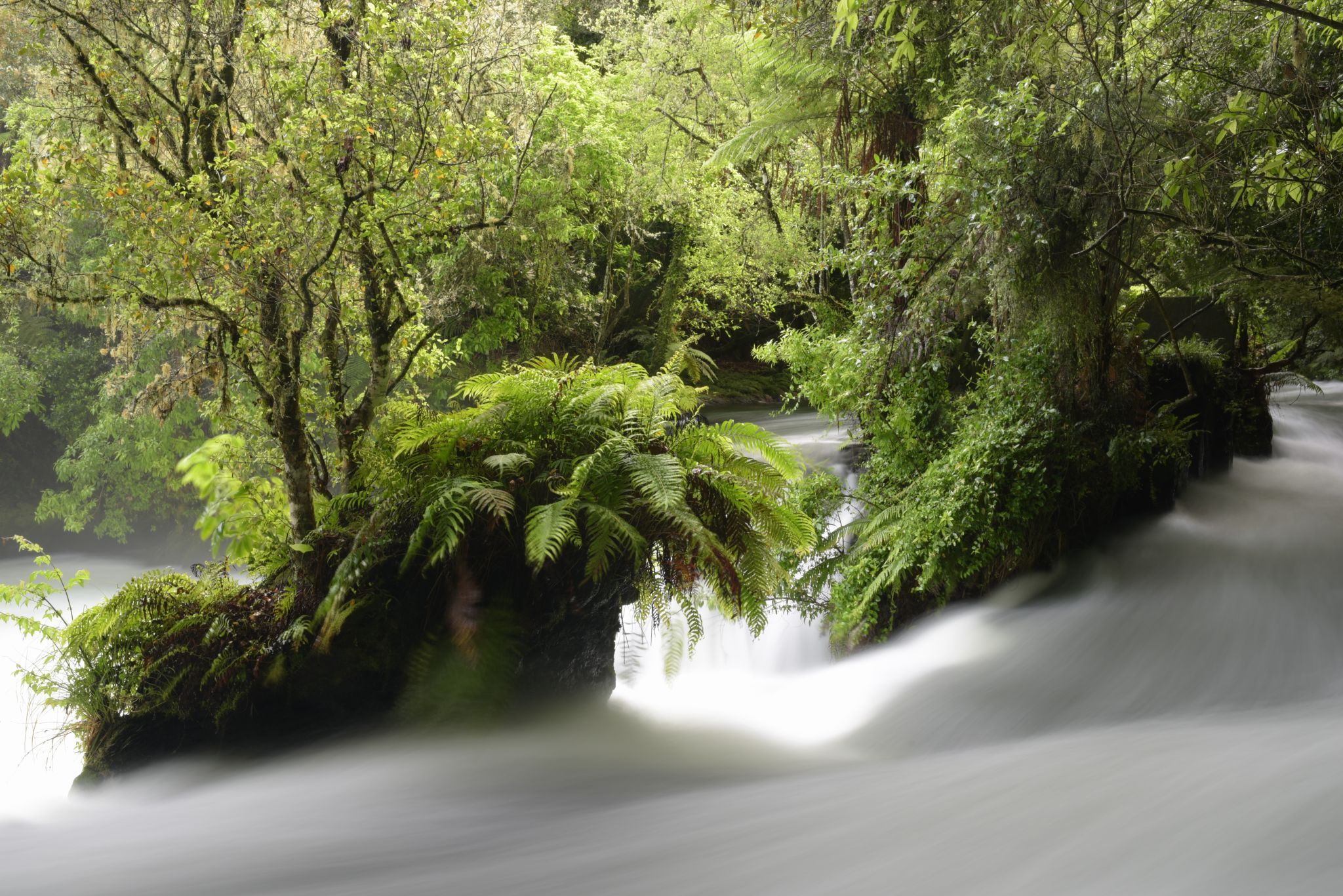 Okere Falls, New Zealand