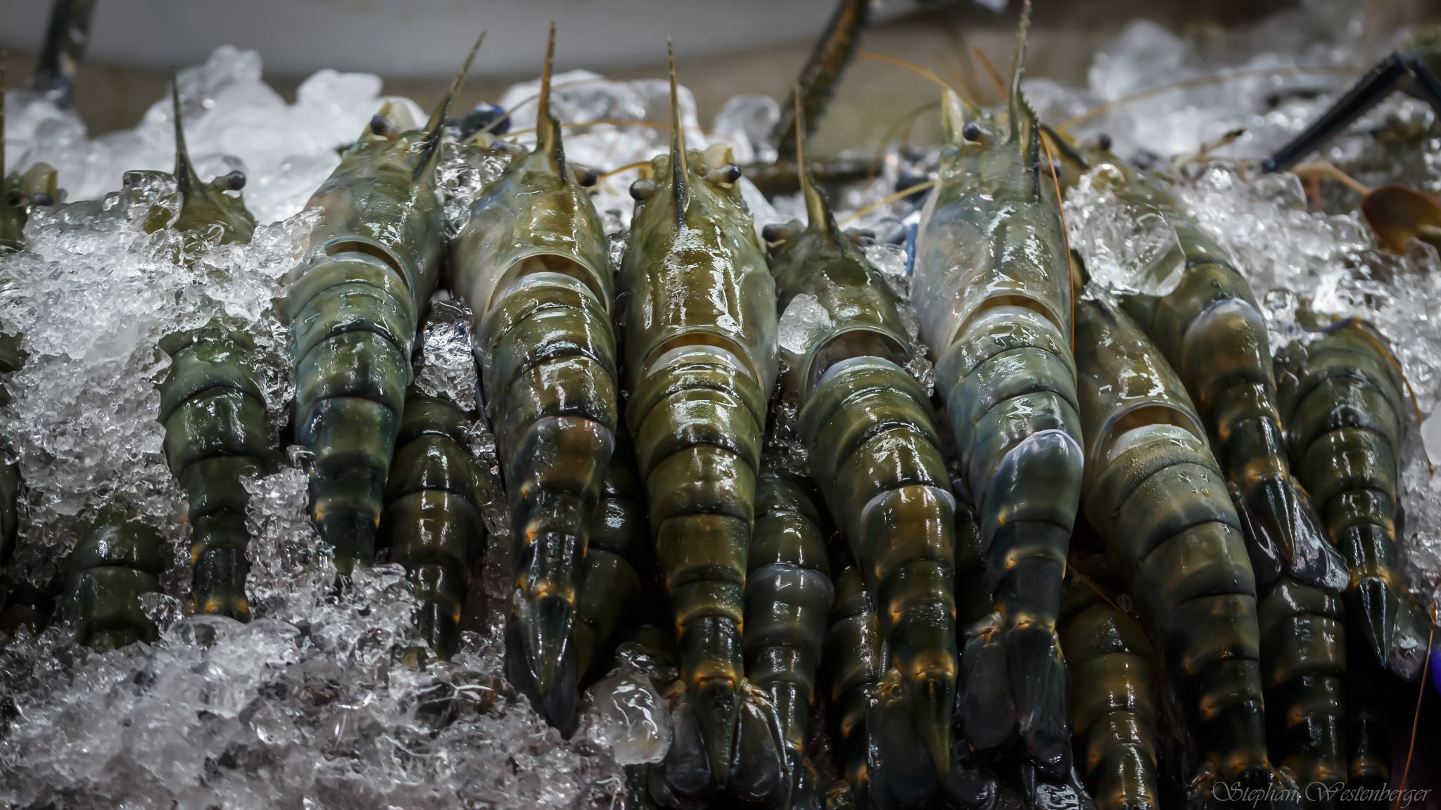 Or Tor Kor Market, Thailand