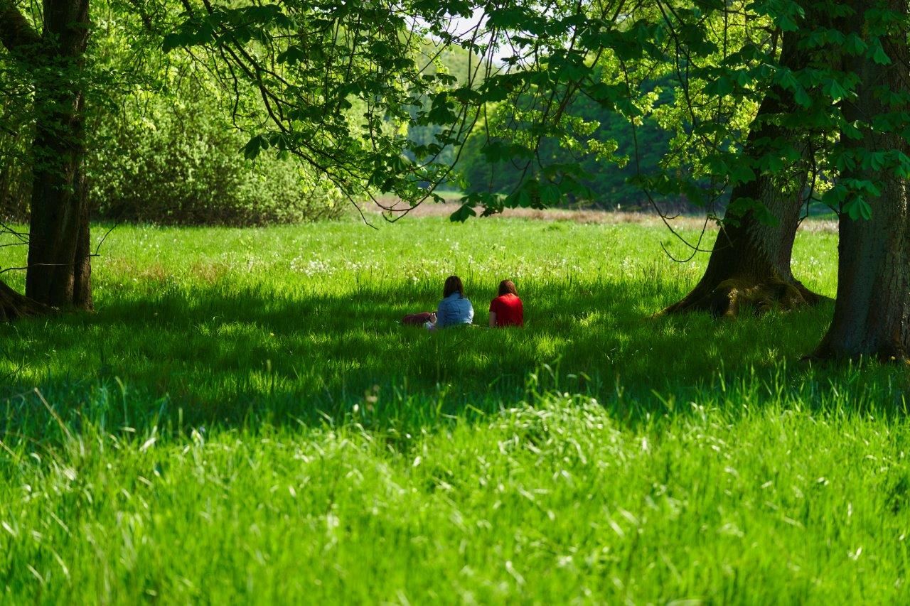Portraitspot underneath Trees in the Park, Germany