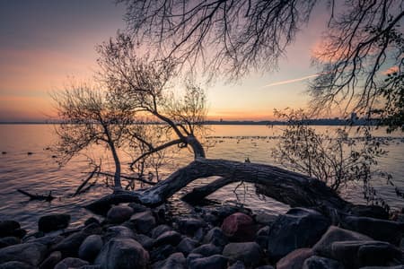 Picnic Point @ UW-Madison Lakeshore Nature Preserve