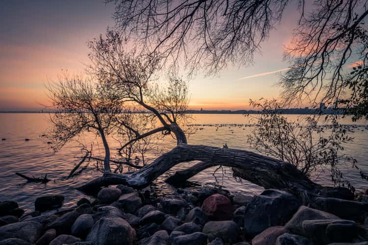 Picnic Point @ UW-Madison Lakeshore Nature Preserve