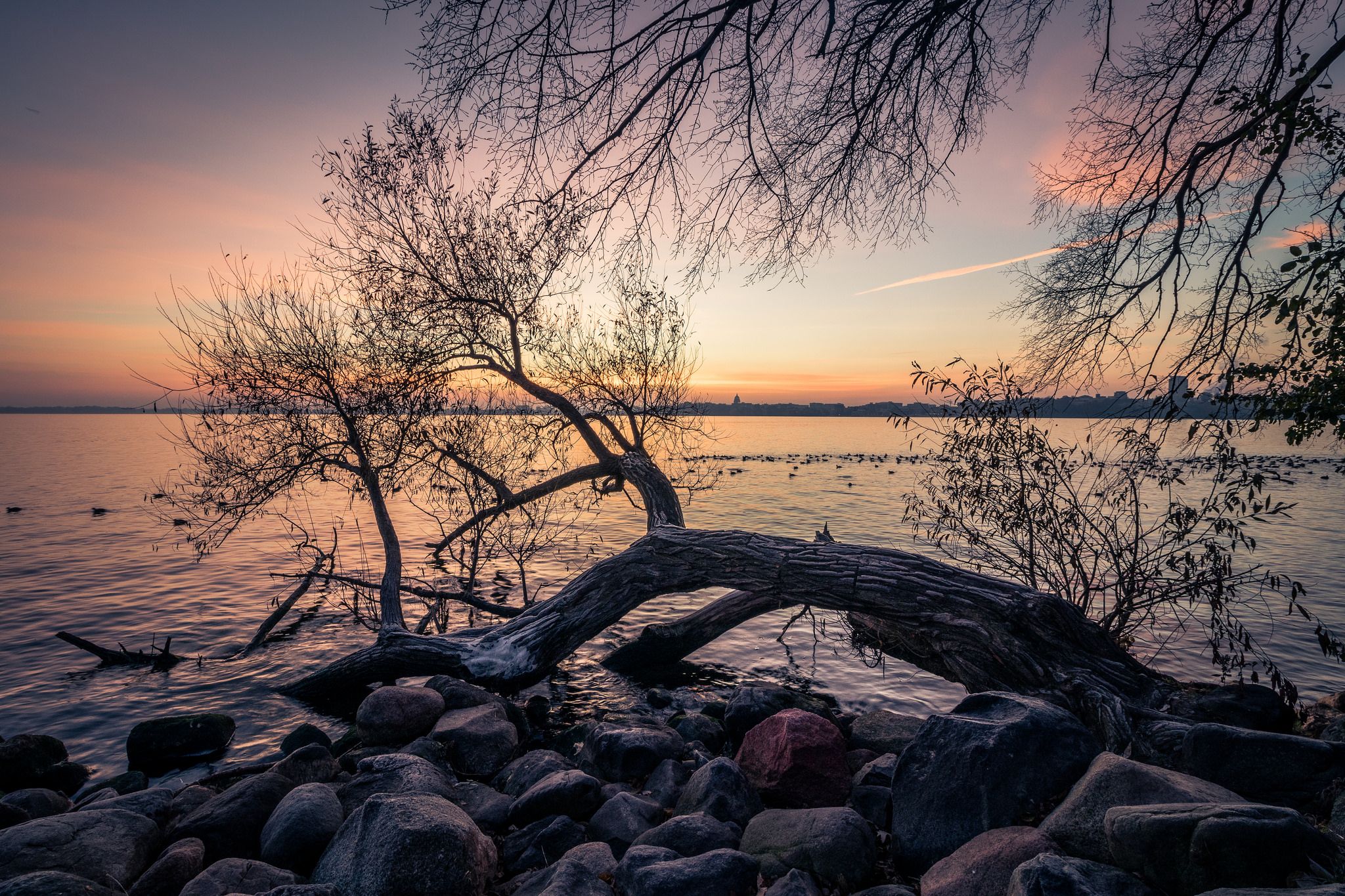 Picnic Point @ UW-Madison Lakeshore Nature Preserve, USA
