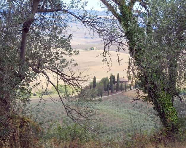 Podere Belvedere in the Val D'orcia Tuscany