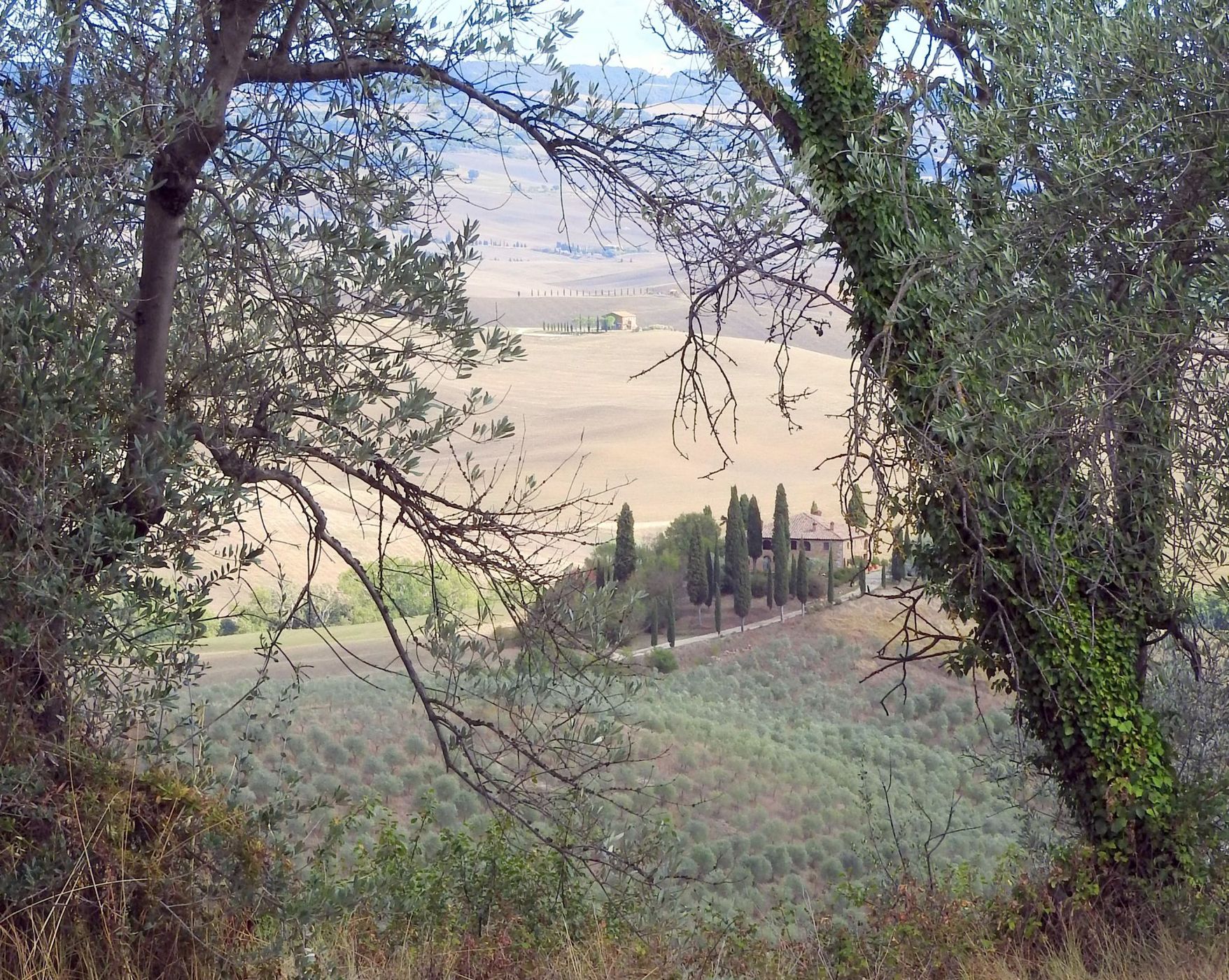 Podere Belvedere in the Val D'orcia Tuscany, Italy