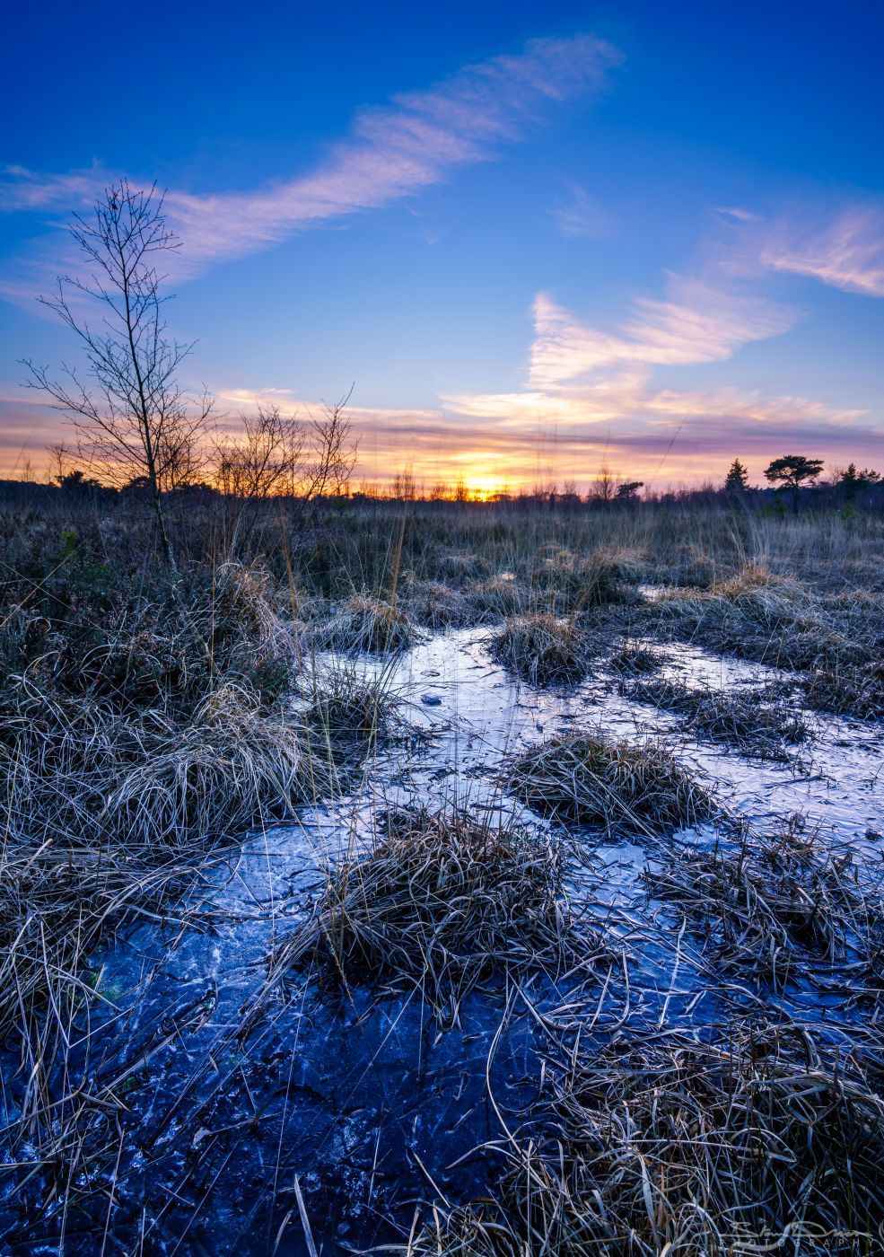 Putse Moer, Belgium