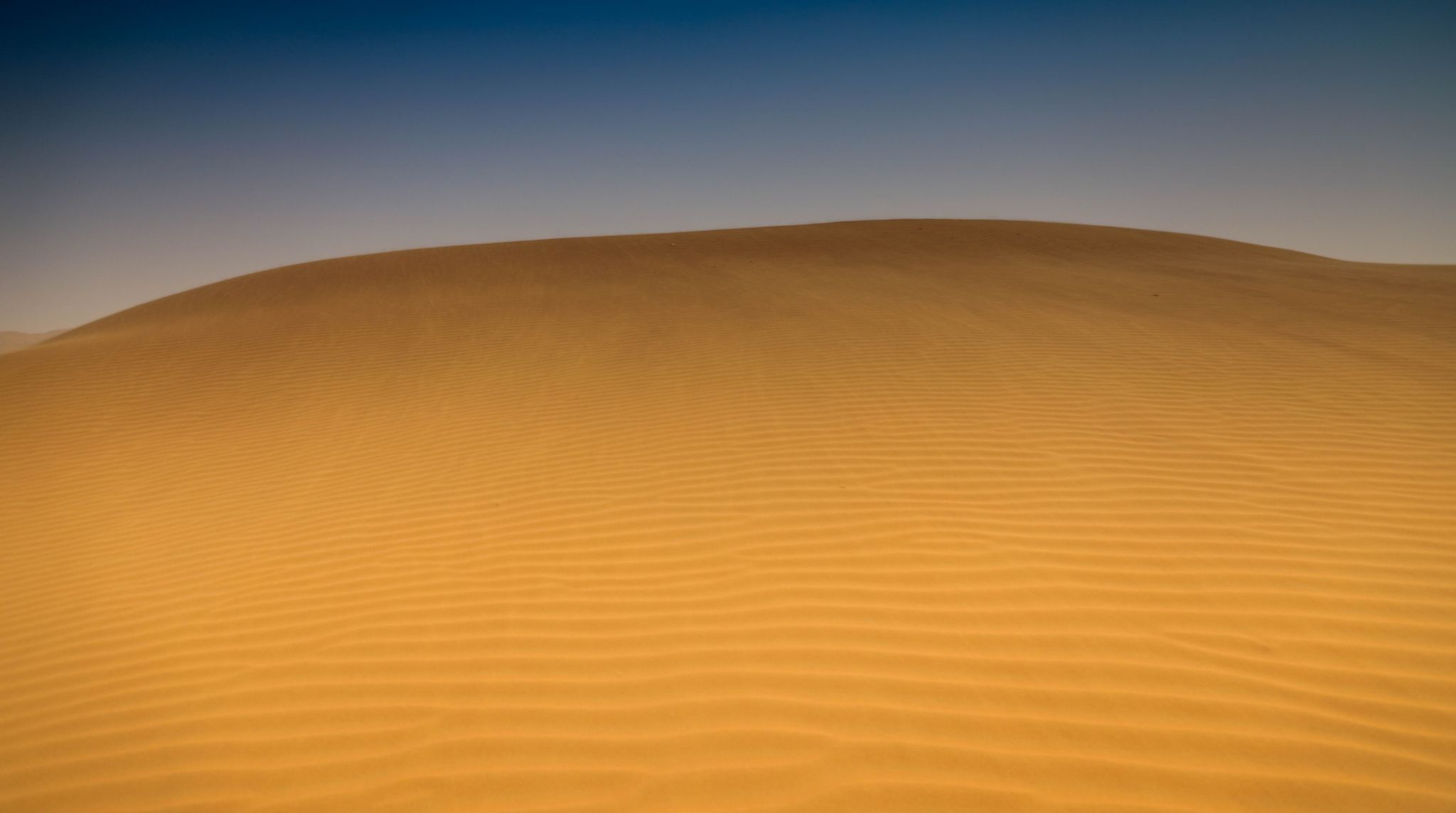 Qasr Al Sarab, United Arab Emirates