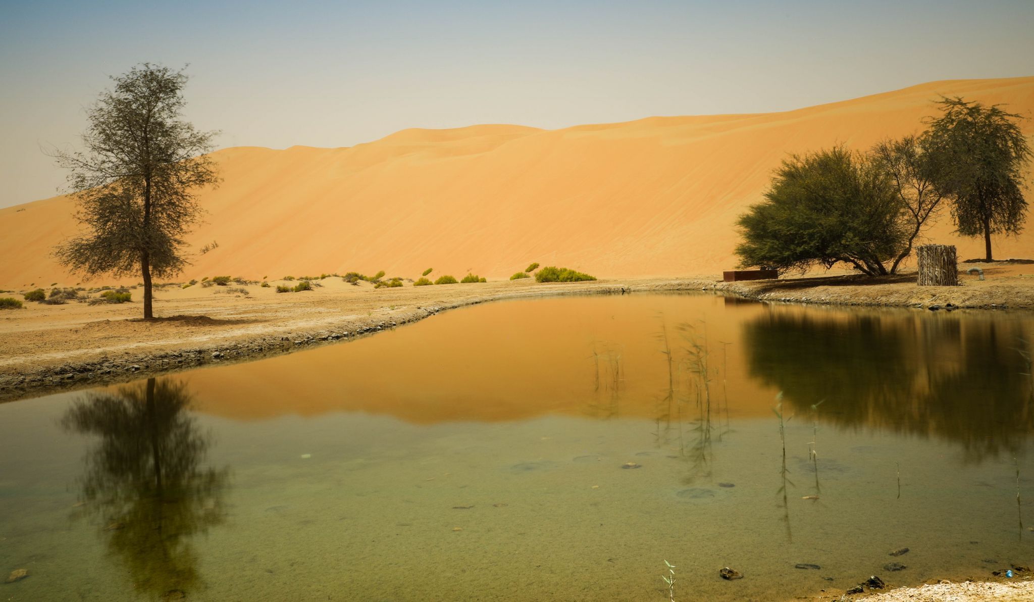 Qasr Al Sarab, United Arab Emirates