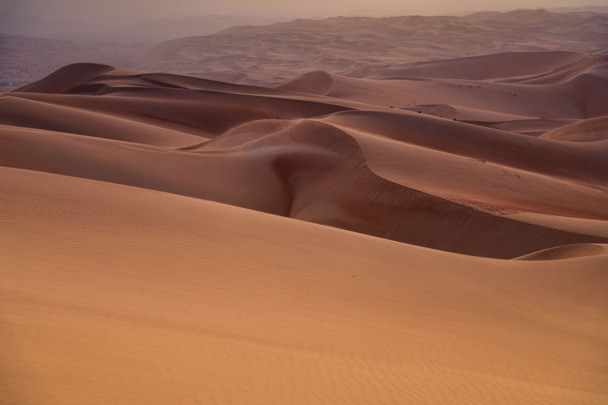 Qasr Al Sarab, United Arab Emirates