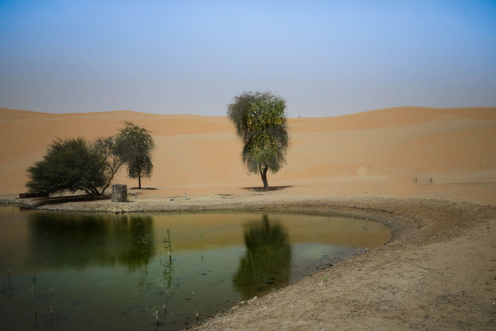 Qasr Al Sarab, United Arab Emirates