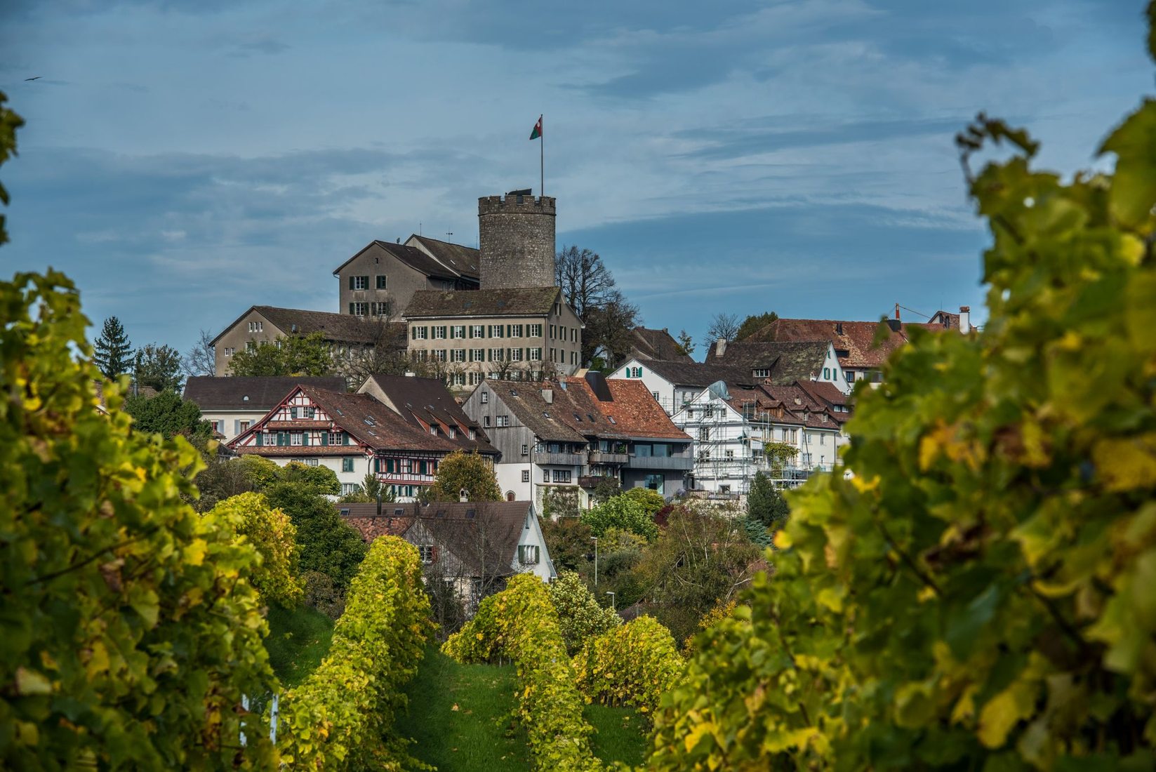 Regensberg Autumn, Switzerland