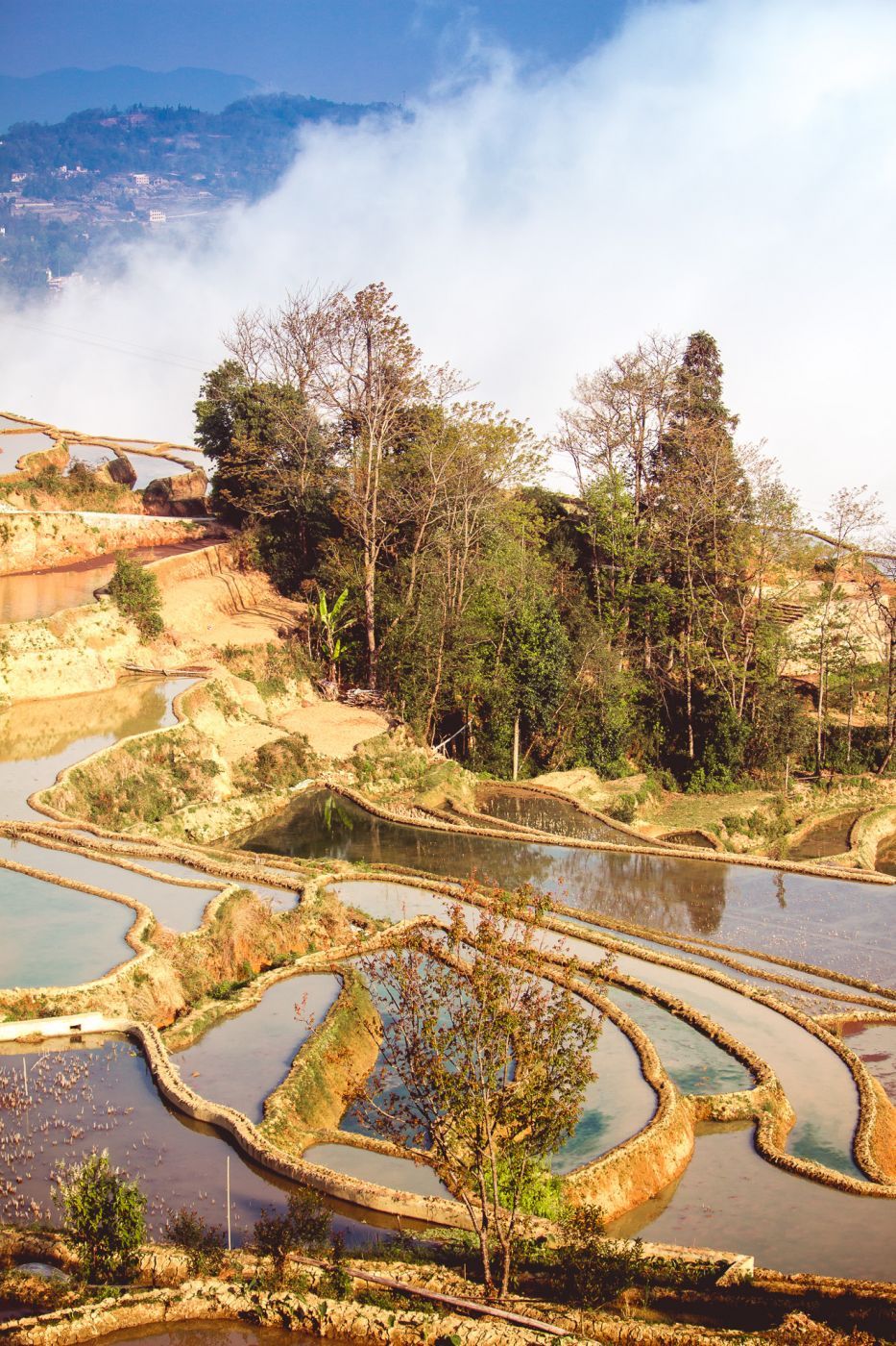 Rice Terraces at Dasheng Section, Hotel view, China