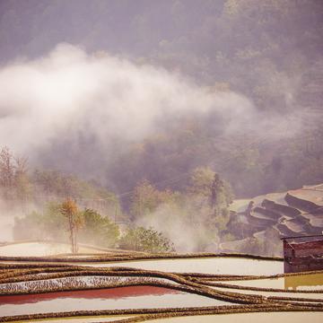 Rice Terraces at Dasheng Section, Hotel view, China