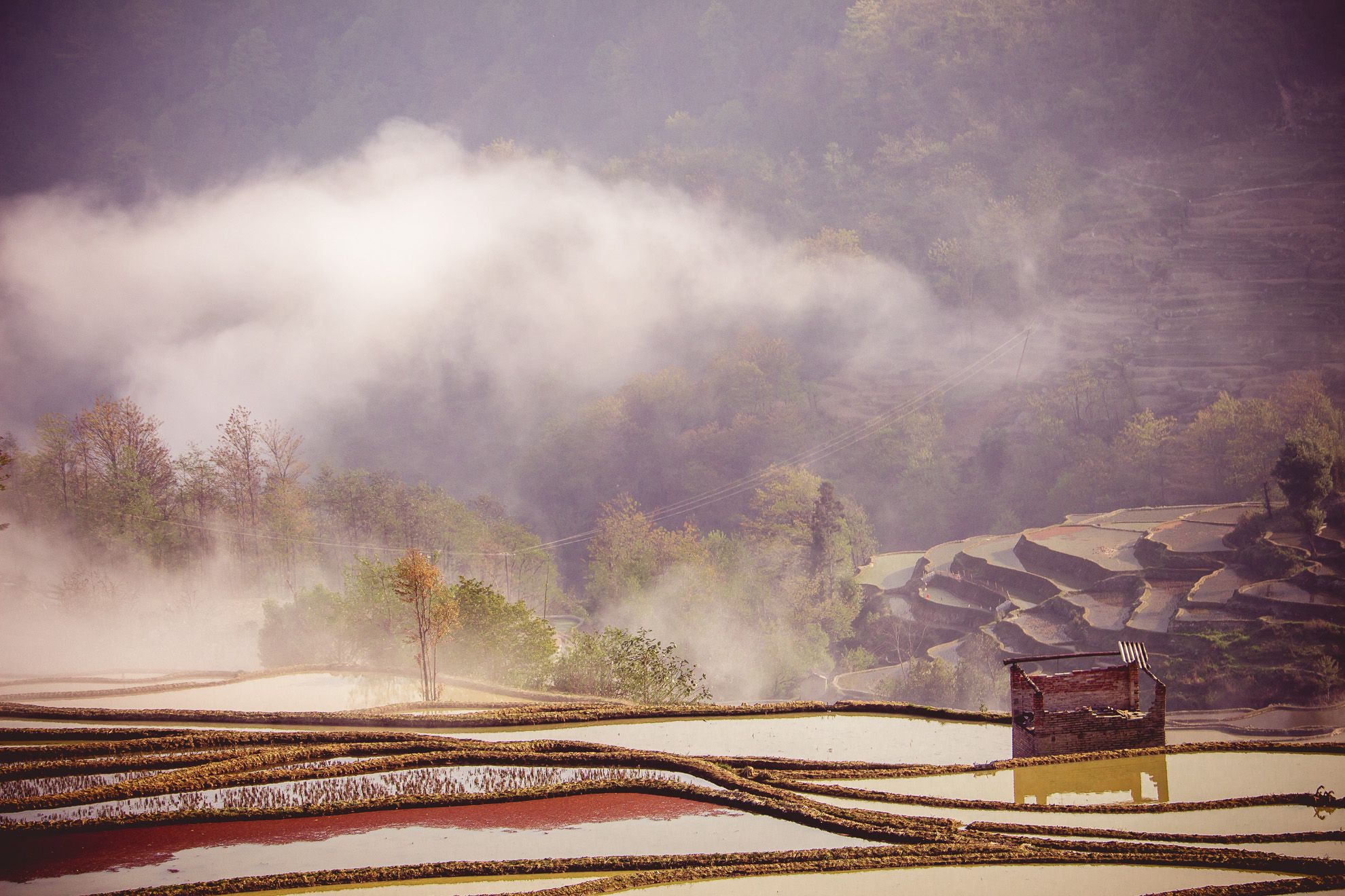 Rice Terraces at Dasheng Section, Hotel view, China