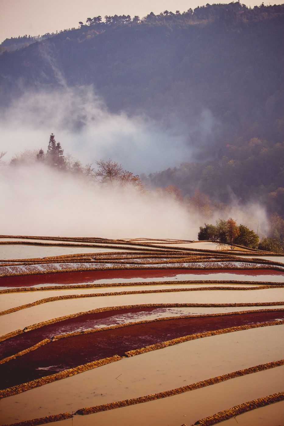 Rice Terraces at Dasheng Section, Hotel view, China