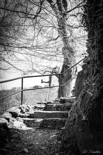 Ruine Altwied