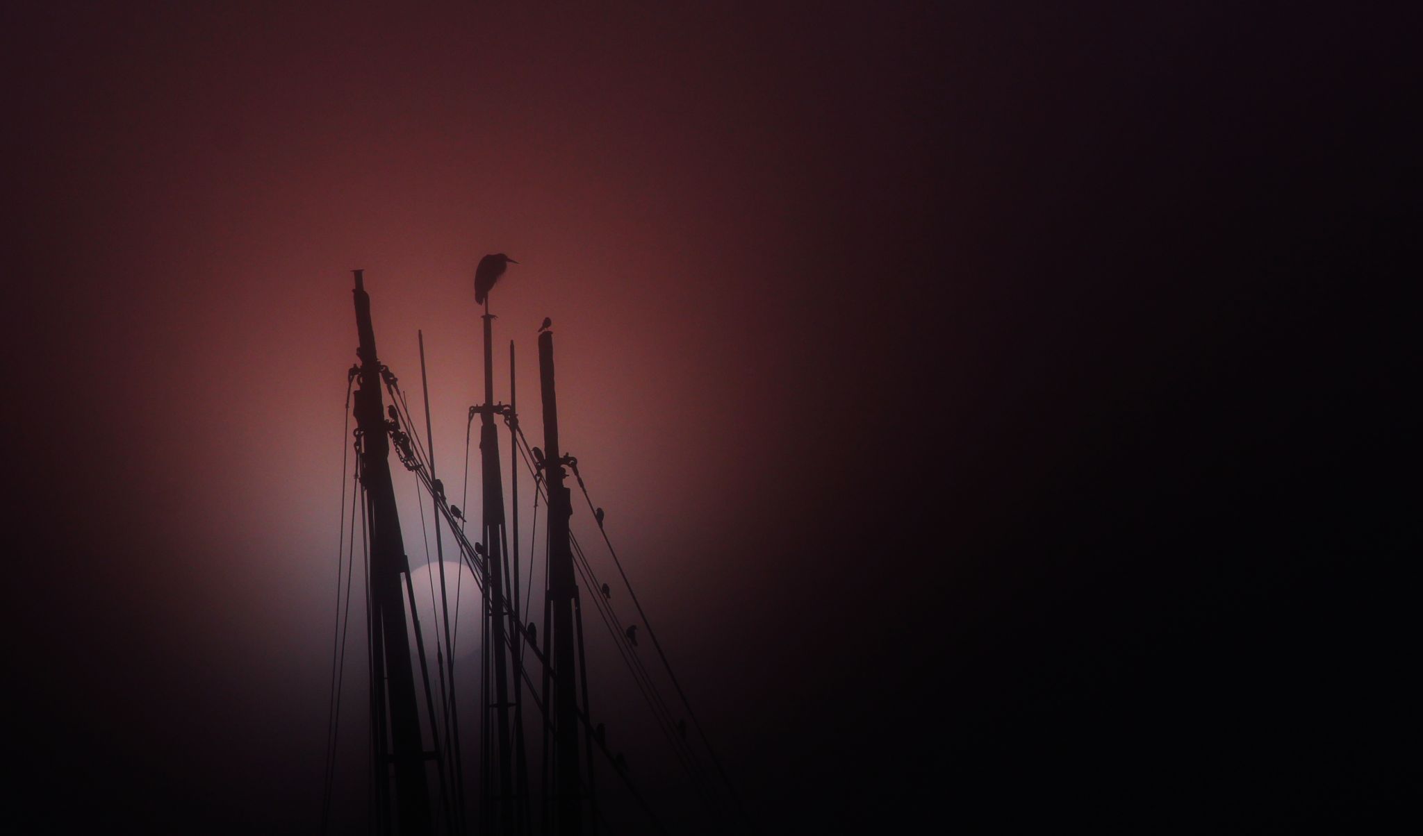 Shem Creek, USA