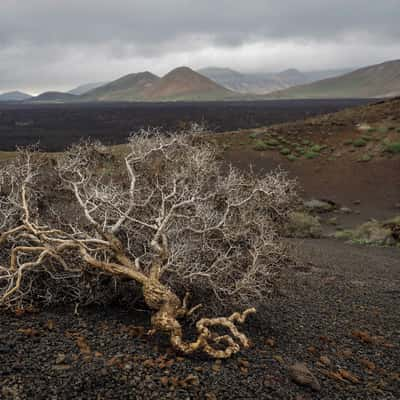 Southern Lanzarote, Spain