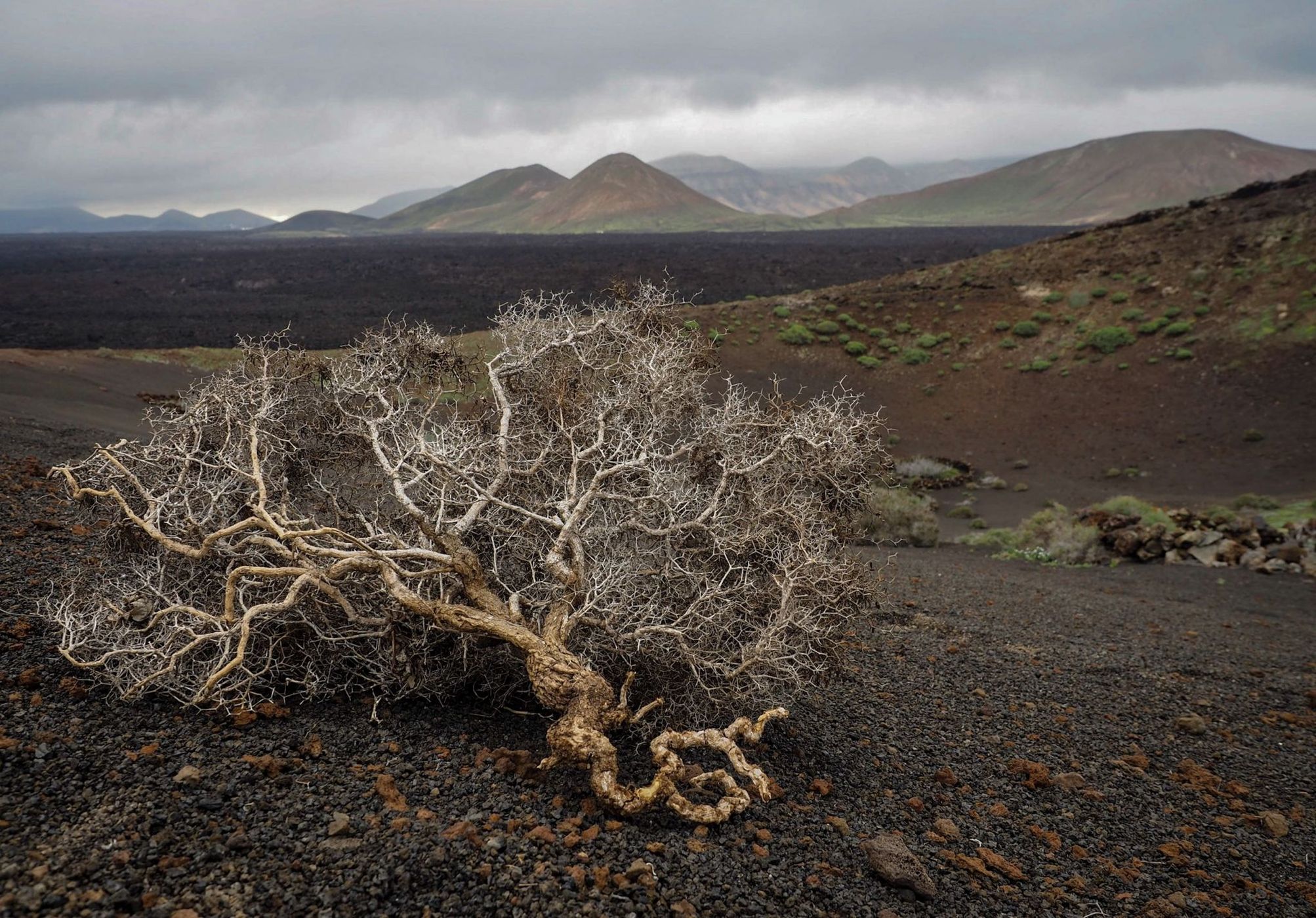 Southern Lanzarote, Spain