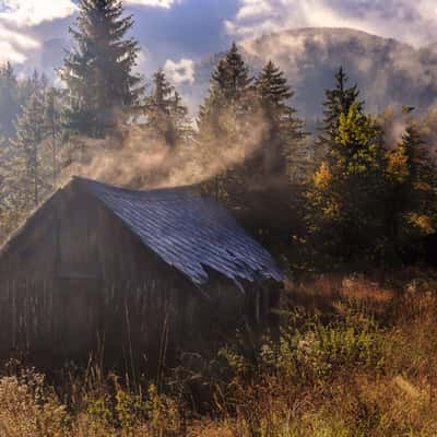 Steaming depilated hut, Italy