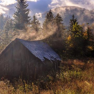 Steaming depilated hut, Italy