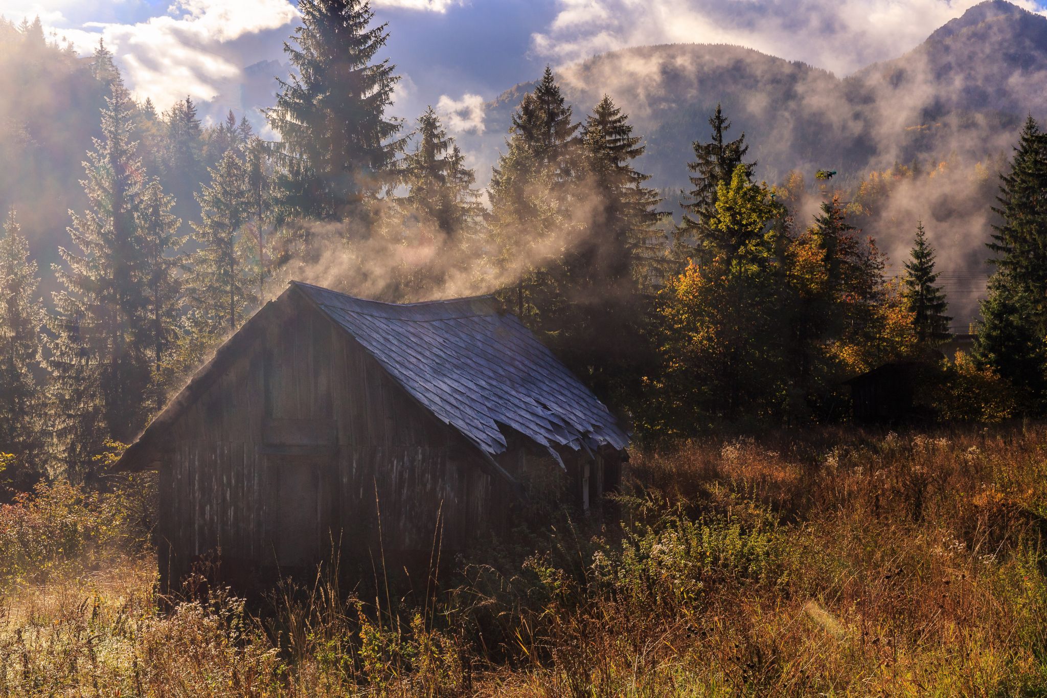 Steaming depilated hut, Italy
